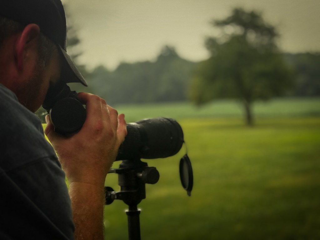 September Whitetail Hunting: Big Changes Every Deer Hunter Should Watch